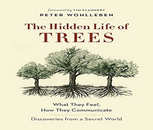 the secret life of trees peter wohlleben