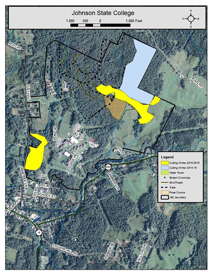 Ongoing Logging Enhances Campus – Basement Medicine